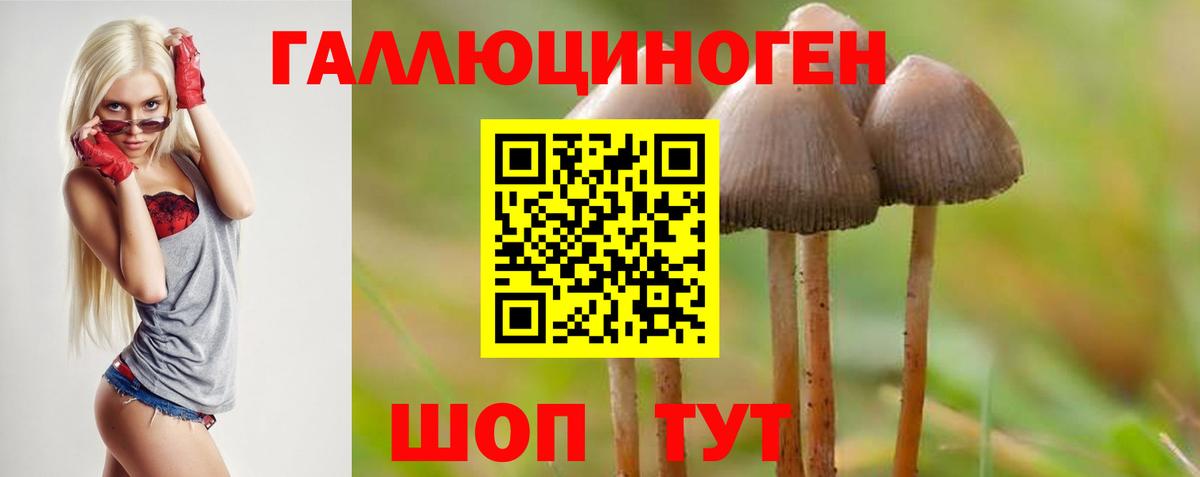 Псилоцибиновые грибы мицелий Большой Камень